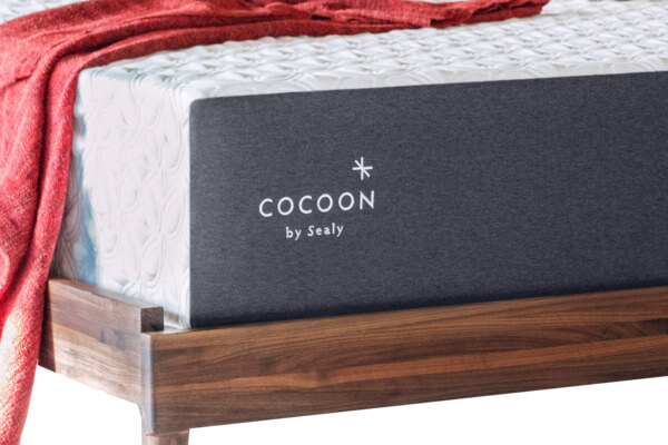 cocoon plush mattress