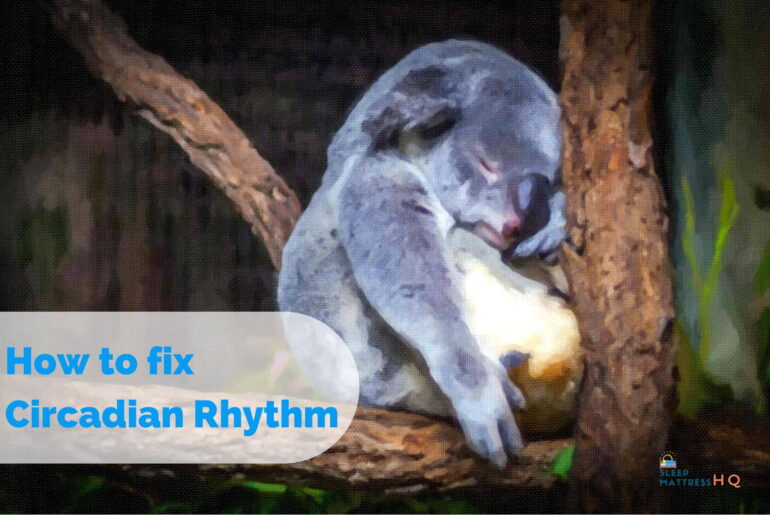 How to fix Circadian Rhythm?